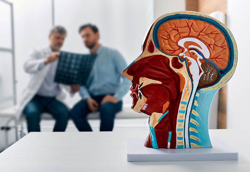 Doctor and patient looking at scans, in the foreground is a diagram of a human head