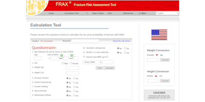 screenshot of calculation tool