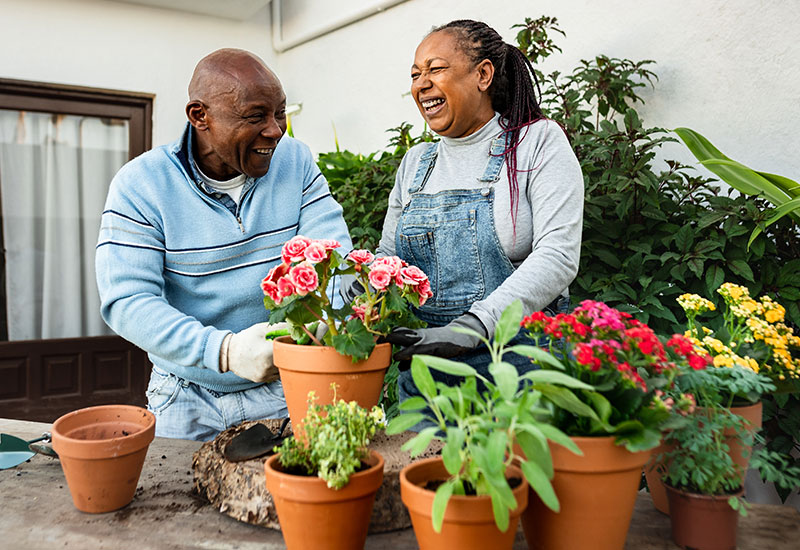 senior man and woman planting flowers